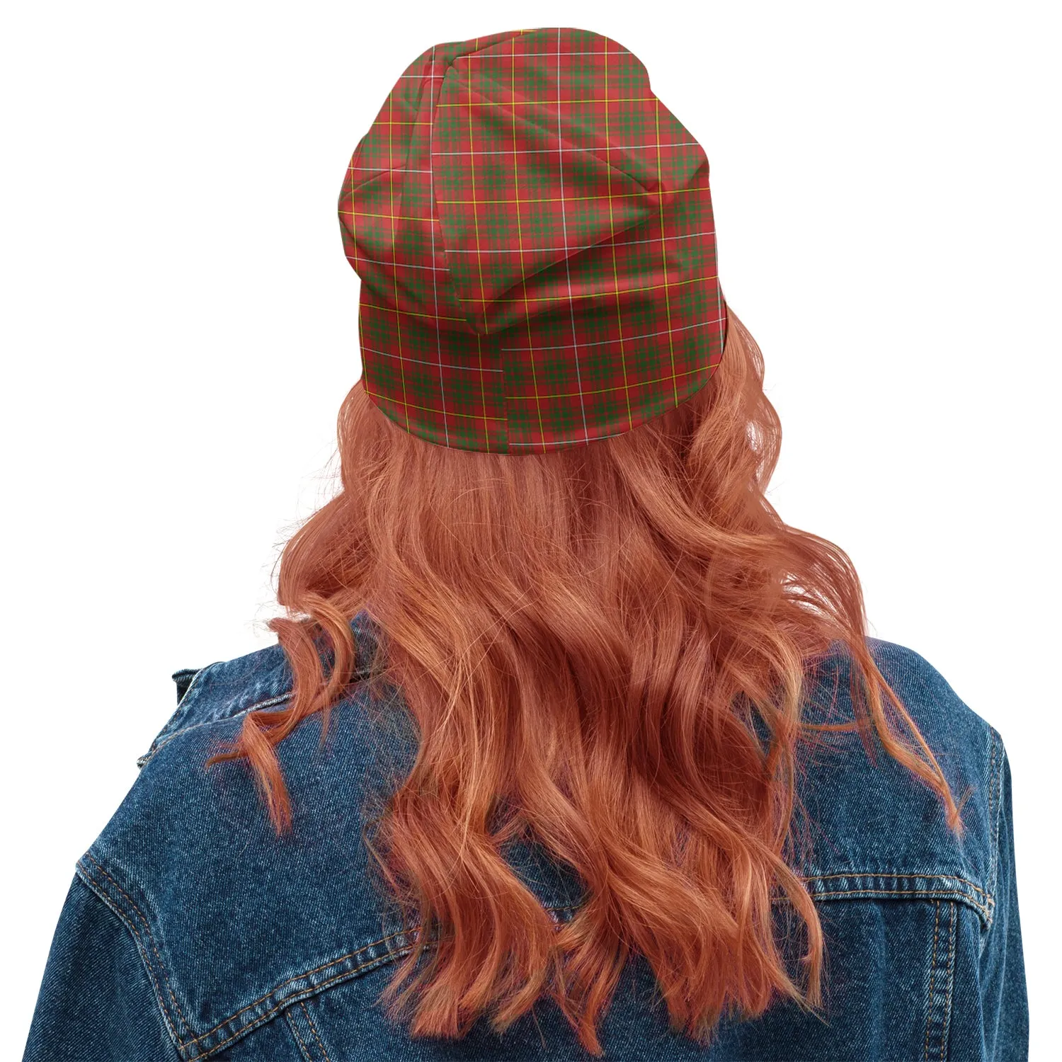 Bruce Modern Tartan Beanies Hat