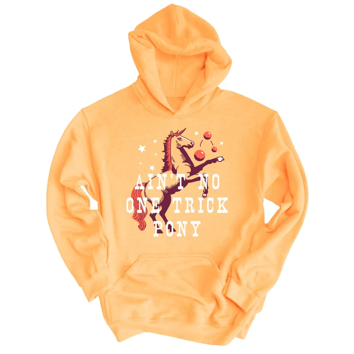 One Trick Pony Hoodie